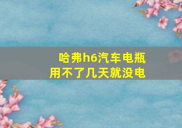 哈弗h6汽车电瓶用不了几天就没电