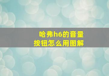 哈弗h6的音量按钮怎么用图解