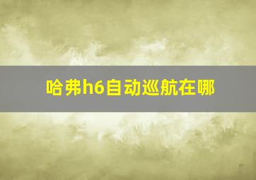 哈弗h6自动巡航在哪