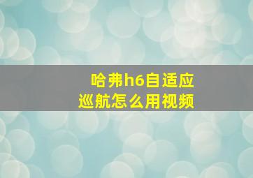 哈弗h6自适应巡航怎么用视频