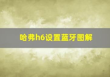 哈弗h6设置蓝牙图解