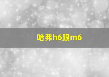 哈弗h6跟m6