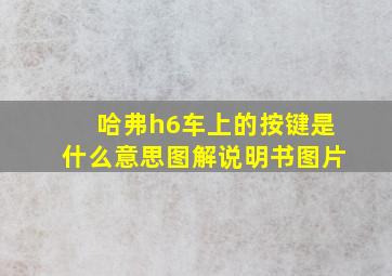 哈弗h6车上的按键是什么意思图解说明书图片