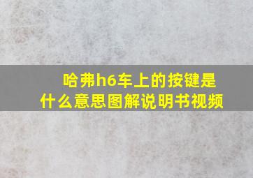 哈弗h6车上的按键是什么意思图解说明书视频