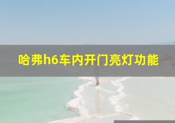 哈弗h6车内开门亮灯功能