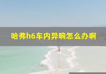 哈弗h6车内异响怎么办啊