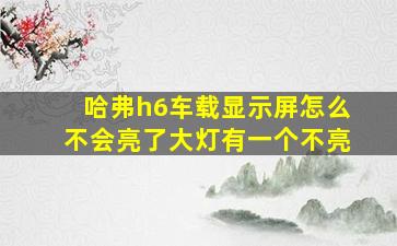 哈弗h6车载显示屏怎么不会亮了大灯有一个不亮