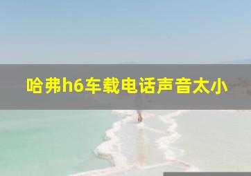 哈弗h6车载电话声音太小