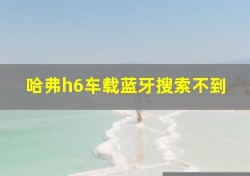 哈弗h6车载蓝牙搜索不到