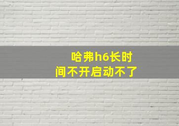 哈弗h6长时间不开启动不了