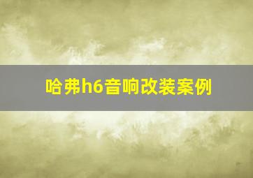 哈弗h6音响改装案例