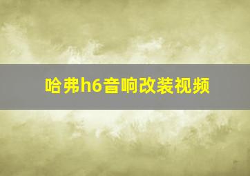 哈弗h6音响改装视频