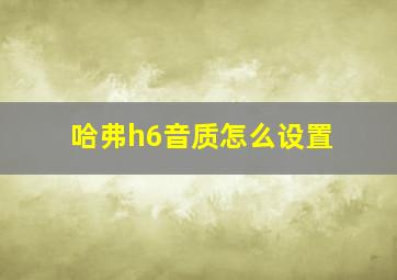 哈弗h6音质怎么设置