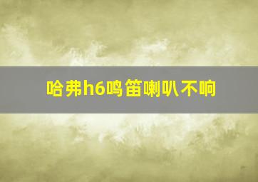 哈弗h6鸣笛喇叭不响