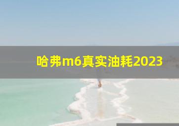 哈弗m6真实油耗2023