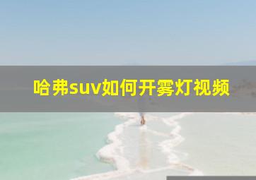 哈弗suv如何开雾灯视频