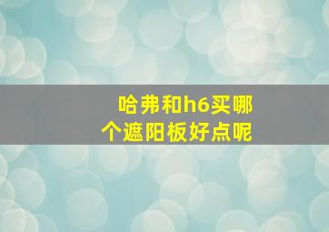 哈弗和h6买哪个遮阳板好点呢