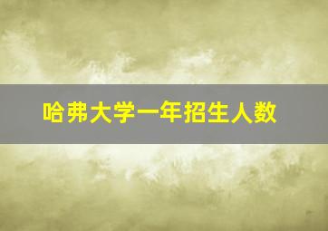 哈弗大学一年招生人数