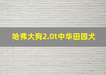 哈弗大狗2.0t中华田园犬