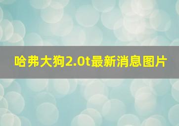 哈弗大狗2.0t最新消息图片