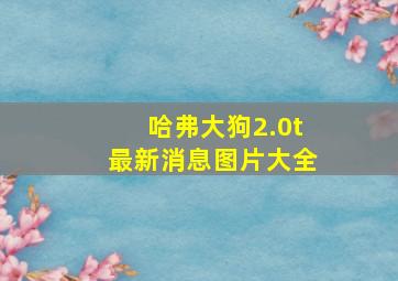 哈弗大狗2.0t最新消息图片大全