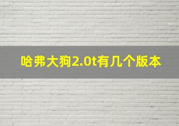 哈弗大狗2.0t有几个版本