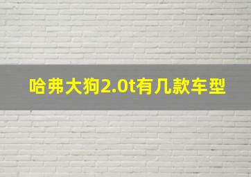 哈弗大狗2.0t有几款车型