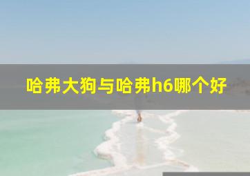 哈弗大狗与哈弗h6哪个好