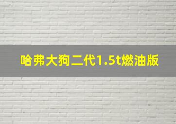 哈弗大狗二代1.5t燃油版