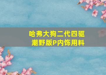 哈弗大狗二代四驱潮野版P内饰用料