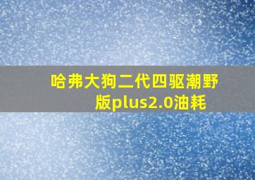 哈弗大狗二代四驱潮野版plus2.0油耗