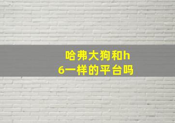 哈弗大狗和h6一样的平台吗