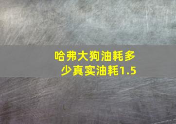 哈弗大狗油耗多少真实油耗1.5