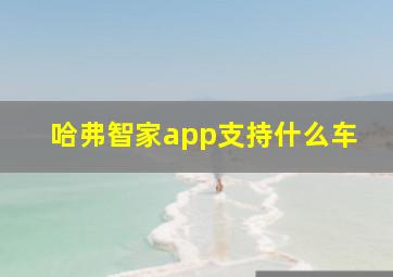 哈弗智家app支持什么车