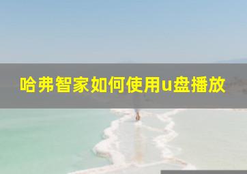 哈弗智家如何使用u盘播放