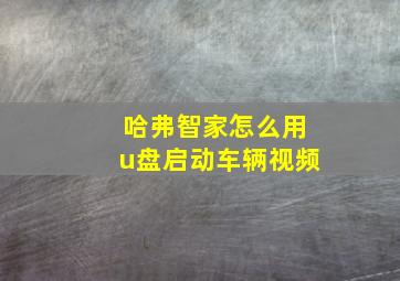 哈弗智家怎么用u盘启动车辆视频