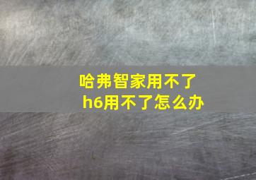 哈弗智家用不了h6用不了怎么办