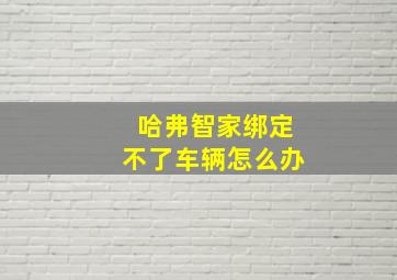 哈弗智家绑定不了车辆怎么办