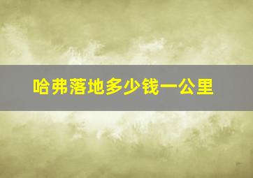 哈弗落地多少钱一公里