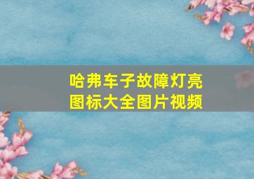 哈弗车子故障灯亮图标大全图片视频