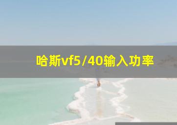 哈斯vf5/40输入功率