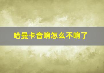 哈曼卡音响怎么不响了