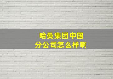 哈曼集团中国分公司怎么样啊