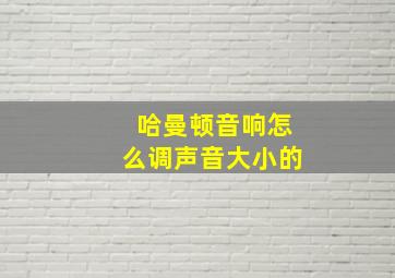 哈曼顿音响怎么调声音大小的