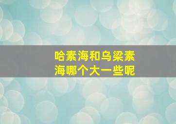 哈素海和乌梁素海哪个大一些呢