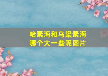 哈素海和乌梁素海哪个大一些呢图片