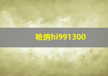 哈纳hi991300