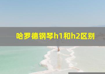 哈罗德钢琴h1和h2区别