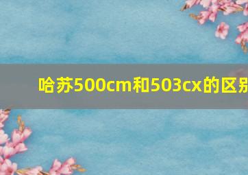 哈苏500cm和503cx的区别