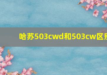 哈苏503cwd和503cw区别